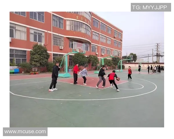 刘丽独家分享篮球心得与技巧助你提升球技与比赛表现