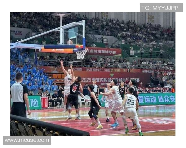 杭州排球队实力引发热议球迷观点分歧引关注